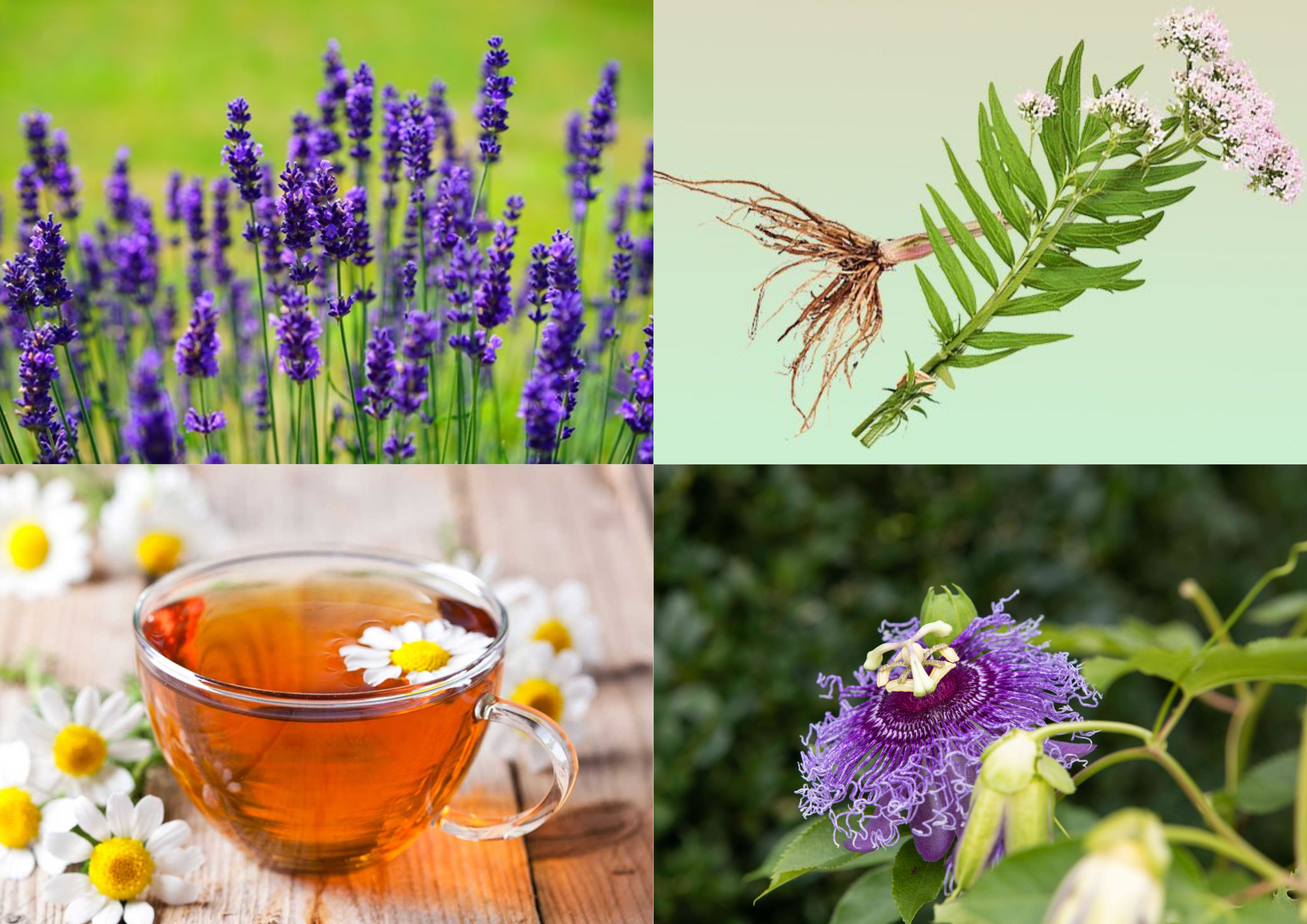 Natural Ways to Improve Sleep Quality: Herbs, Supplements, and Lifestyle Adjustments for Better Sleep
